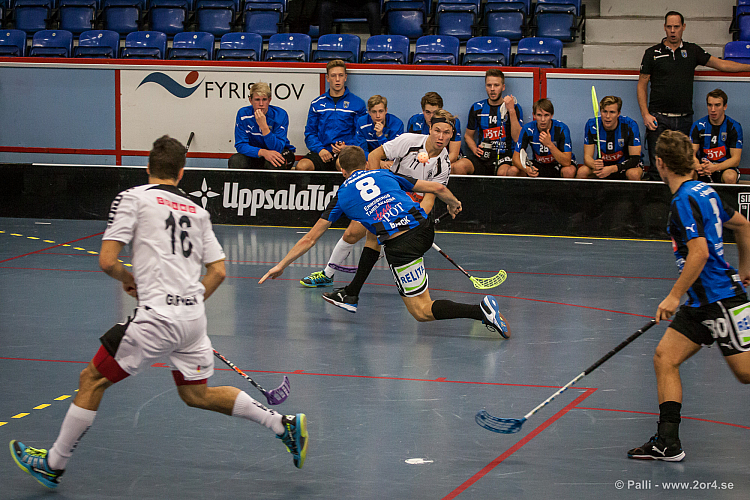 Sirius - Caperiotäby