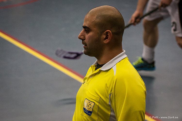 Sirius - Caperiotäby