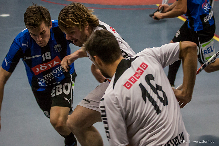 Sirius - Caperiotäby