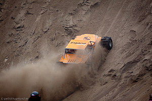 Martin Michaelsen, Insane