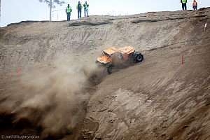 Martin Michaelsen, Insane