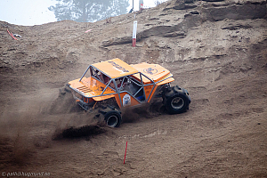 Martin Michaelsen, Insane