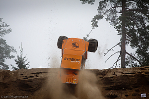 Martin Michaelsen, Insane