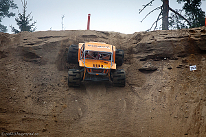 Martin Michaelsen, Insane