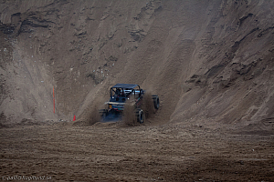 Ronny Pedersen, Troll