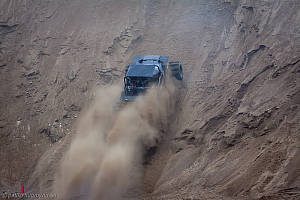 Ronny Pedersen, Troll