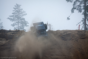 Ronny Pedersen, Troll