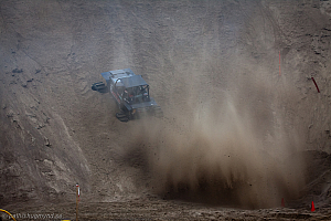 Ronny Pedersen, Troll