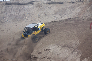 Paul Bjørnerud, Brutus