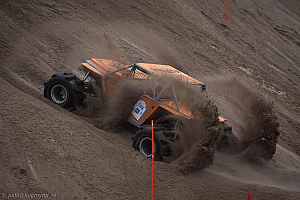  Martin Michaelsen, Insane