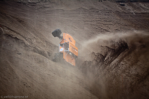  Martin Michaelsen, Insane