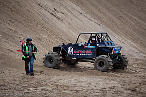 Ronny Pedersen, Troll