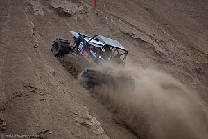 Ronny Pedersen, Troll