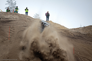 Ronny Pedersen, Troll