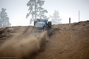 Ronny Pedersen, Troll