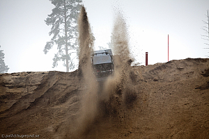 Ronny Pedersen, Troll