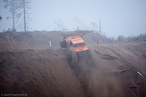 Martin Michaelsen, Insane