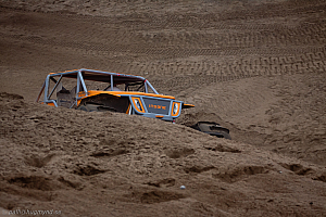 Martin Michaelsen, Insane