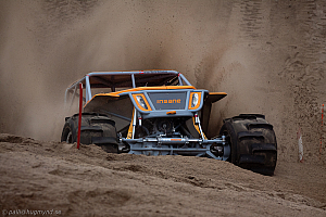 Martin Michaelsen, Insane