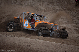 Martin Michaelsen, Insane