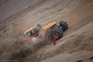 Martin Michaelsen, Insane