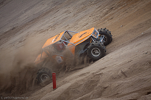 Martin Michaelsen, Insane