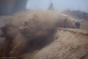 Martin Michaelsen, Insane