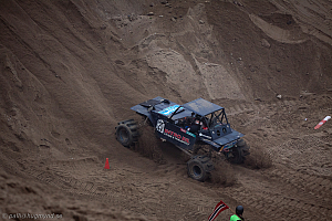 Ronny Pedersen , Troll