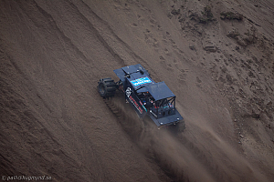 Ronny Pedersen , Troll