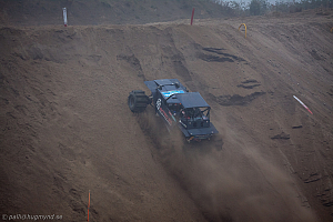 Ronny Pedersen , Troll