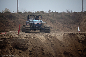 Ronny Pedersen , Troll