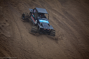 Ronny Pedersen , Troll