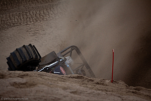 Ronny Pedersen , Troll