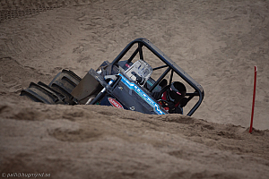 Ronny Pedersen , Troll