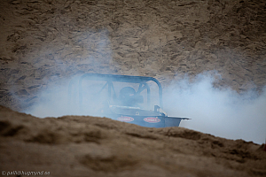 Ronny Pedersen , Troll