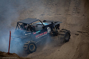 Ronny Pedersen , Troll