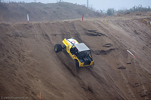 Paul Bjørnerud, Brutus