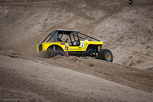 Paul Bjørnerud, Brutus