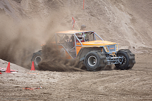 Martin Michaelsen, Insane