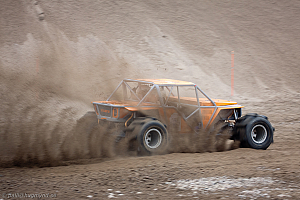 Martin Michaelsen, Insane