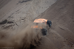 Martin Michaelsen, Insane