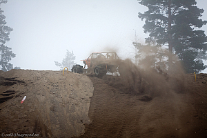 Martin Michaelsen, Insane