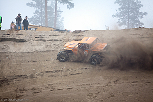 Martin Michaelsen, Insane