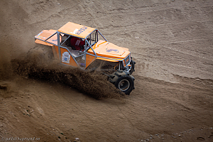 Martin Michaelsen, Insane