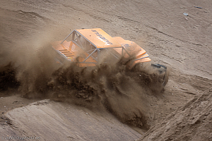 Martin Michaelsen, Insane