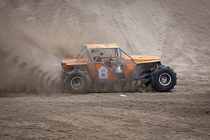 Martin Michaelsen, Insane