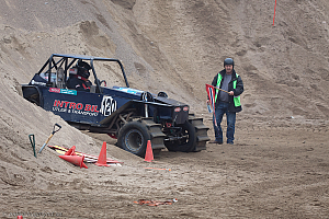 Ronny Pedersen, Troll