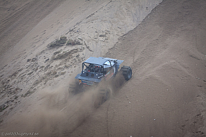 Ronny Pedersen, Troll