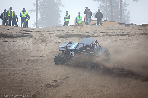 Ronny Pedersen, Troll