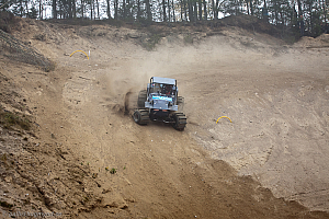 Ronny Pedersen, Troll